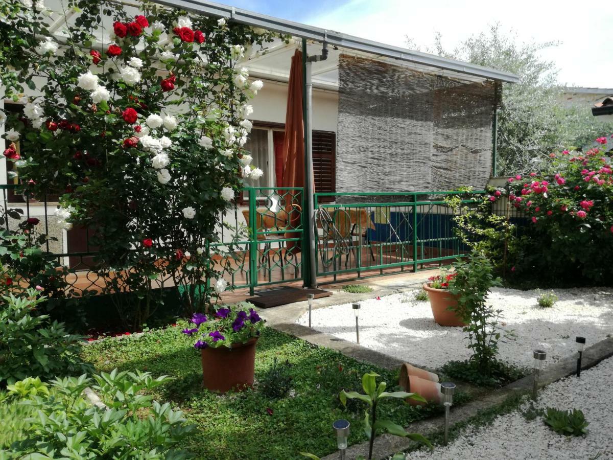 Vile Park Apartments Πόρετς Εξωτερικό φωτογραφία